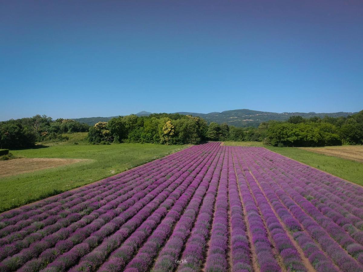 La Porte Des Volcans Blanzat エクステリア 写真